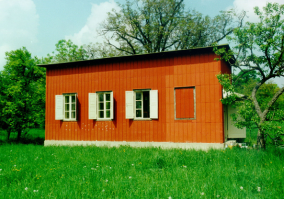 Image Image